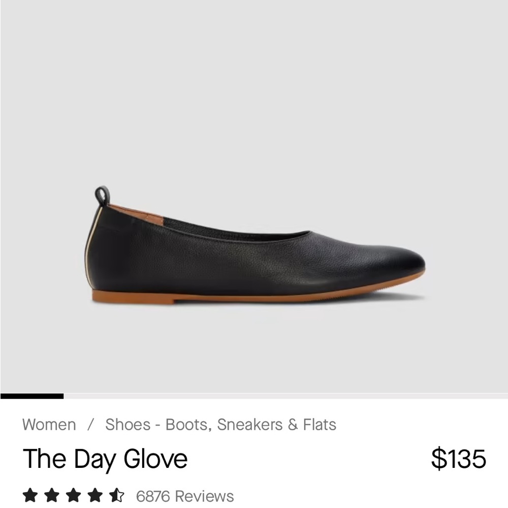 Everlane day glove ballet flats (nwot)